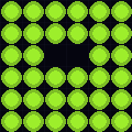 131.161.207.155