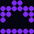 131.196.161.211