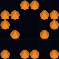 131.255.243.101