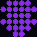 206.232.91.173