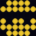 45.155.244.81