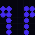 45.155.69.229