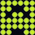 45.155.91.0