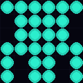 45.58.221.24